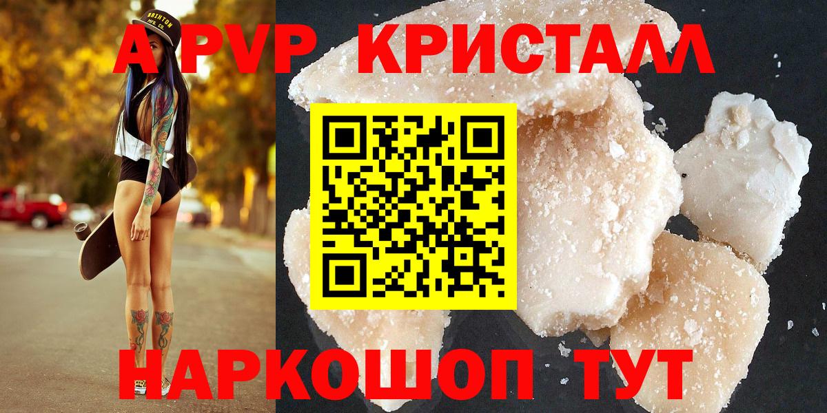 APVP СК Камышлов